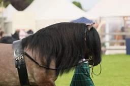 S29_0476 2026