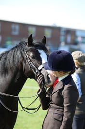121 RIHS M&M Ridden Large Breeds
