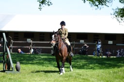M19_0590 2026