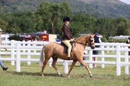 E42_0505 2026