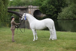 L29_9316 2026
