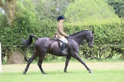M36_2192 2026