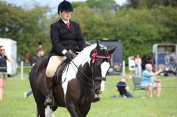 44 Unaffiliated Ridden Coloured
