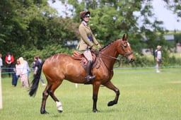 M36_2752 2026
