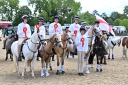 A28_1695 2026