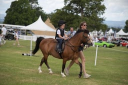 A49_0035 2026