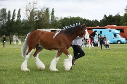 E36_0916 2026