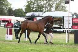 E31_4141 2026