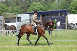 C34_1905 2026