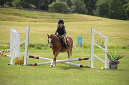 MJ2 - Mini Jumping - 40 cm