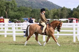 E42_0519 2026