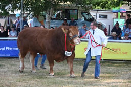 K68_7162 2026