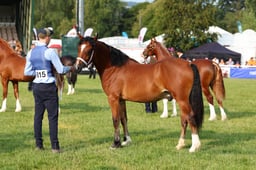 E69_0444 2026
