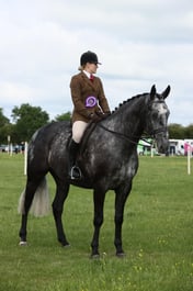 E36_0603 2026