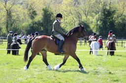 C19_2443 2026