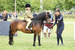 E30_3883 2026