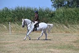 S60_0671 2026