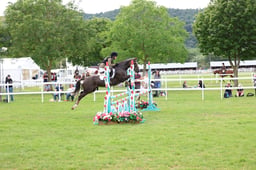 PC Team Jumping 90cm