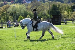 S19_8550 2026