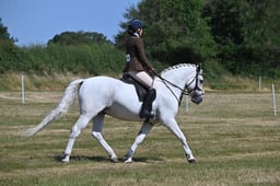 S60_0662 2026