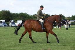 E36_0441 2026