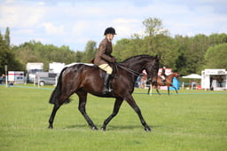 W36_2473 2026