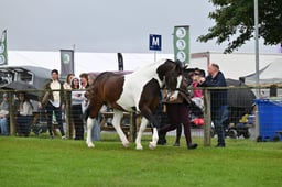 A44_3463 2026