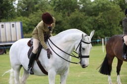 52 Unaffiliated Ridden Cobs