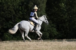 C56_2815 2026