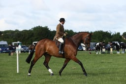 E36_0410 2026
