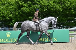 A29_2214 2026