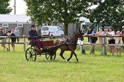 A43_0112 2026