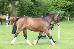 J36_6760 2026