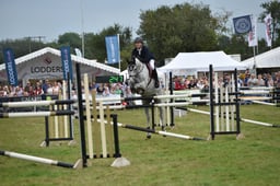 59 6 Bars Showjumping