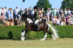 S61_0563 2026