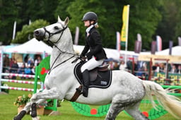 Pony Club Team Show Jumping