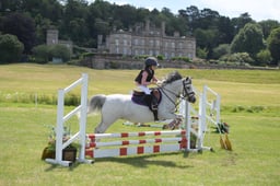 A49_0378 2026