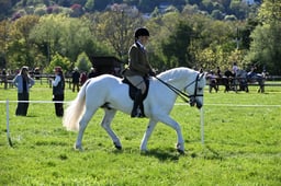 S19_8481 2026