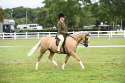 Ridden Supreme Show Champion