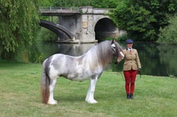 M28_0117 2026