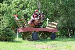24 Rowanbrook Brenin Dafydd