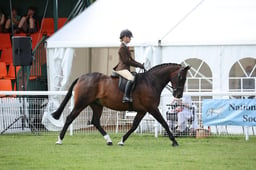 06 HOYS SHP 153cm