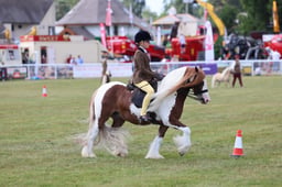 Z68_0792 2026