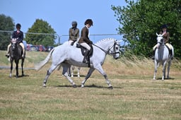 S60_0699 2026