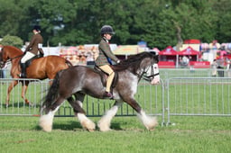 C34_0462 2026