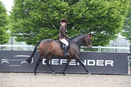 14 RoR Ridden Show Series Flat