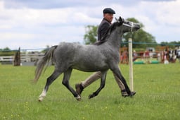 J36_7145 2026