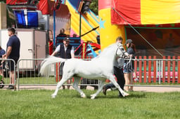 E34_1654 2026