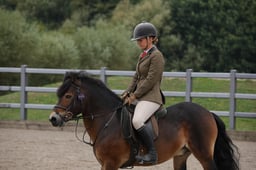 10 M&M Working Hunter RIHS Qualifier 122CM