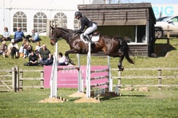 614 CORNSAY FANTASIA